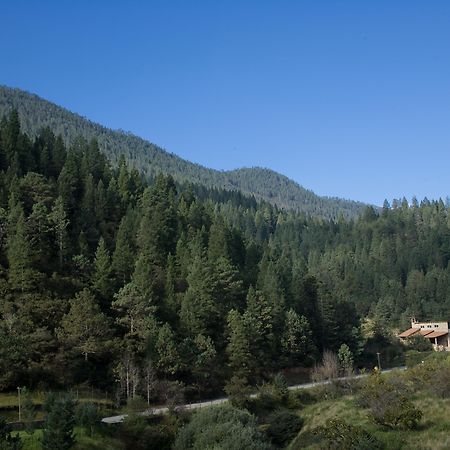 מלון San Antonio de las Alazanas Bosques De Monterreal מראה חיצוני תמונה