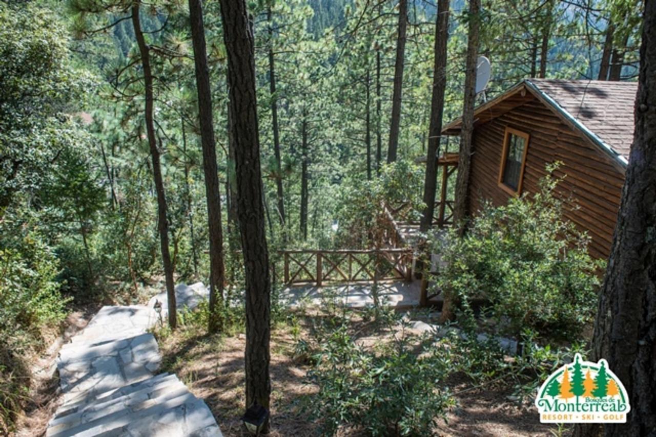 מלון San Antonio de las Alazanas Bosques De Monterreal מראה חיצוני תמונה