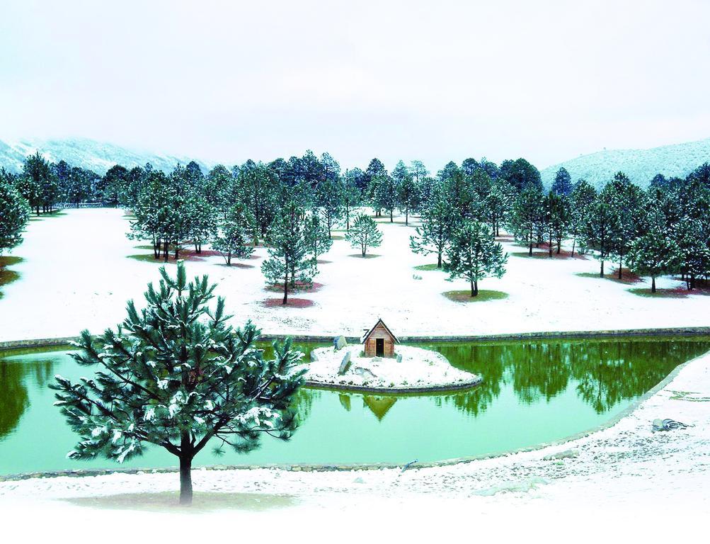 מלון San Antonio de las Alazanas Bosques De Monterreal מראה חיצוני תמונה