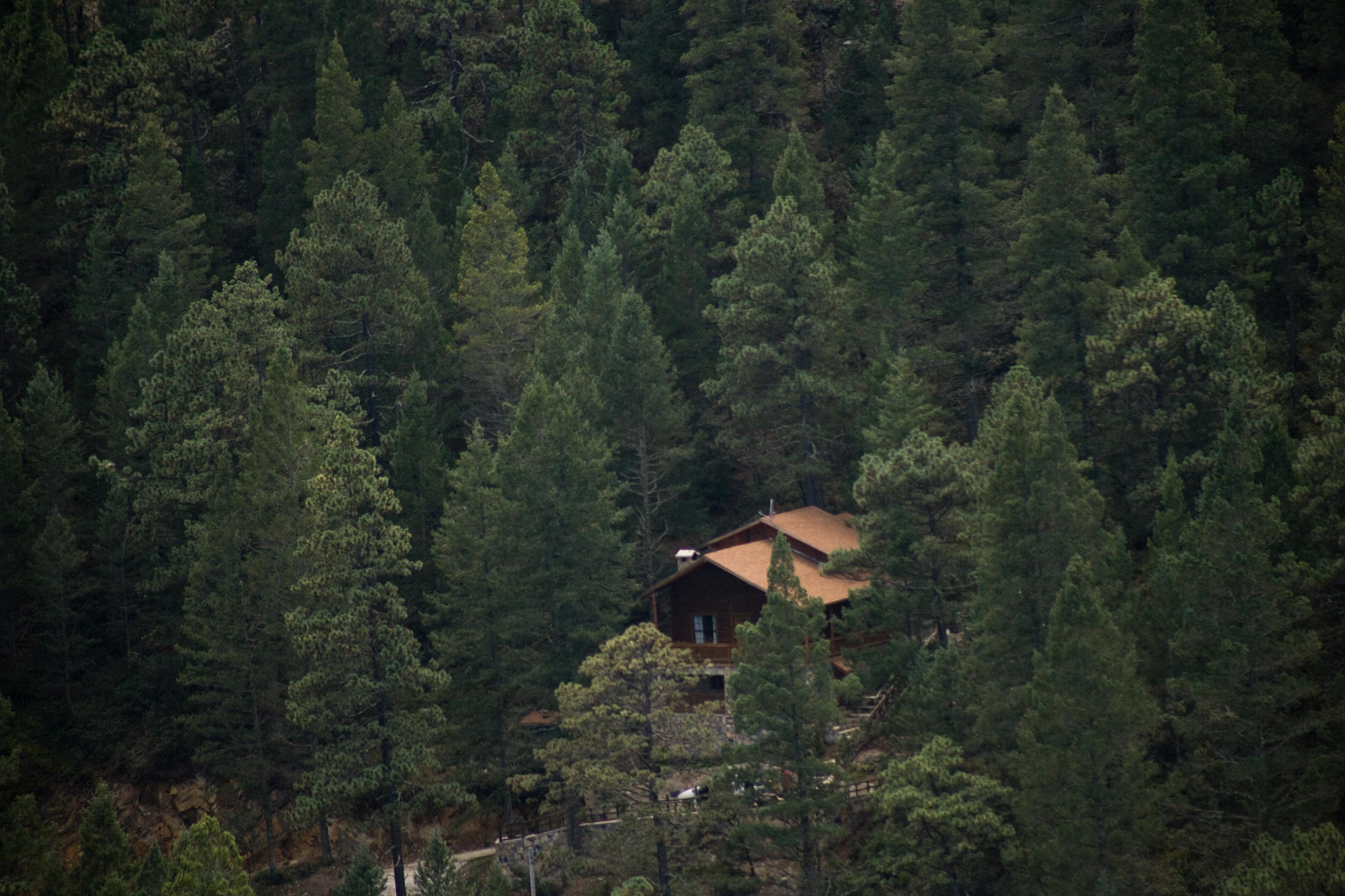 מלון San Antonio de las Alazanas Bosques De Monterreal מראה חיצוני תמונה