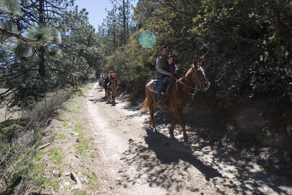 מלון San Antonio de las Alazanas Bosques De Monterreal מראה חיצוני תמונה